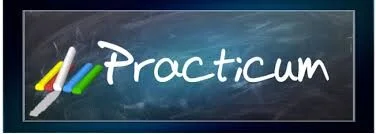 PRACTICUM GRADO MAESTRO